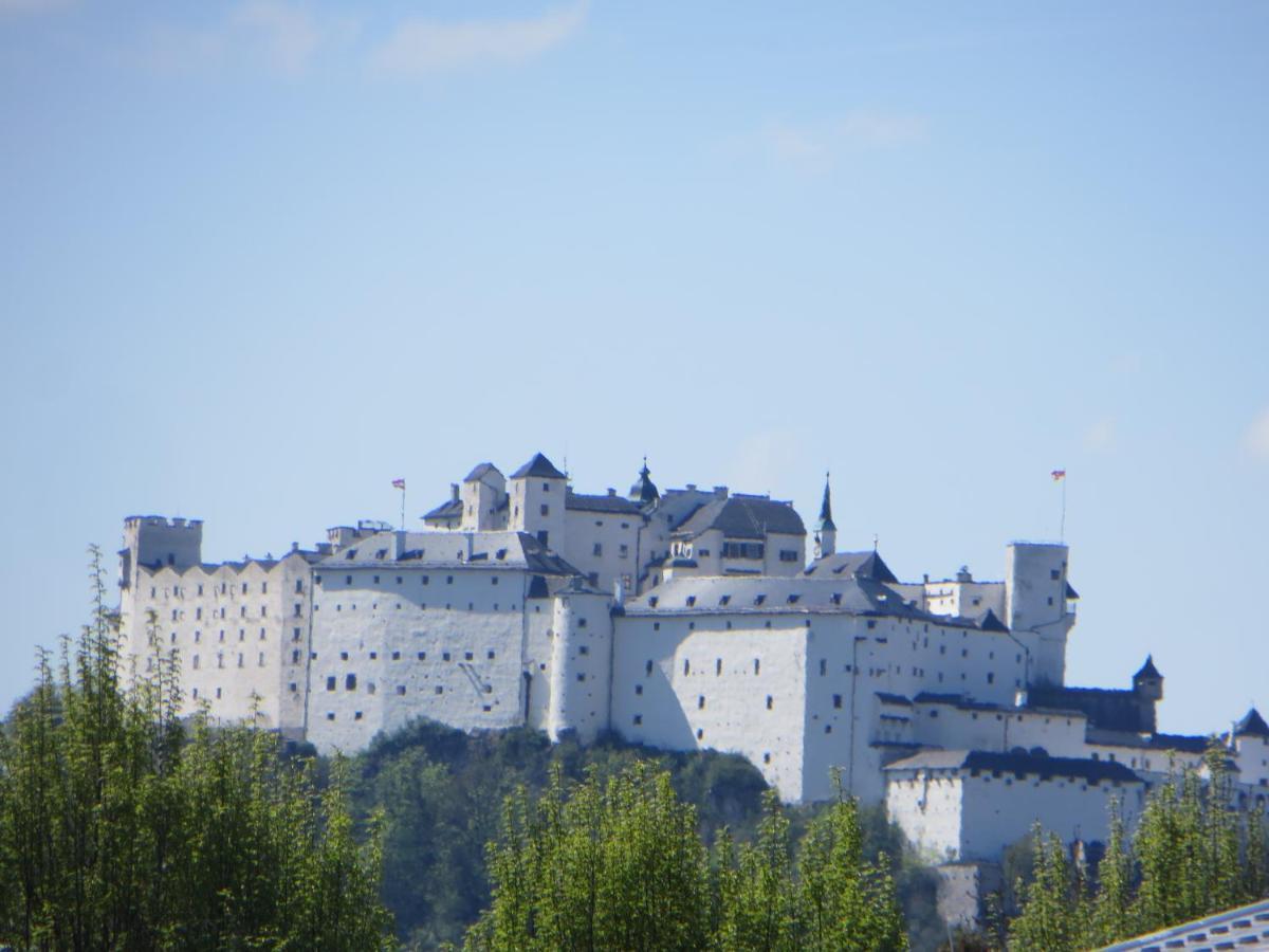 Premium City Apartment Amadeus Salzburgo Exterior foto